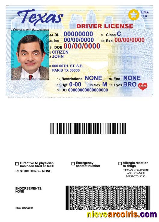 USA Texas driving license